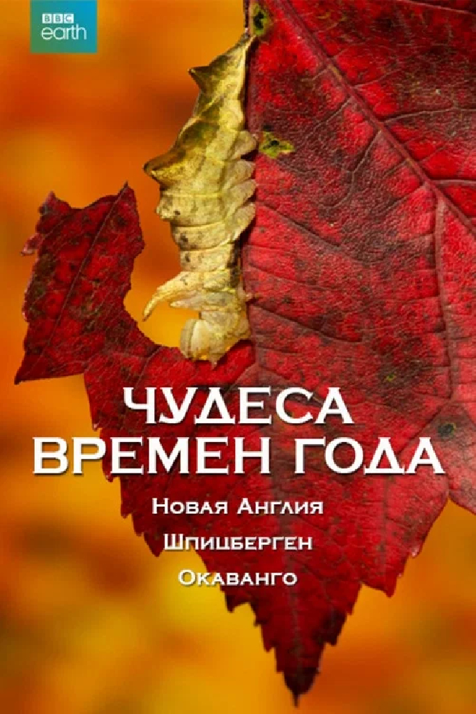 Чудеса времён года