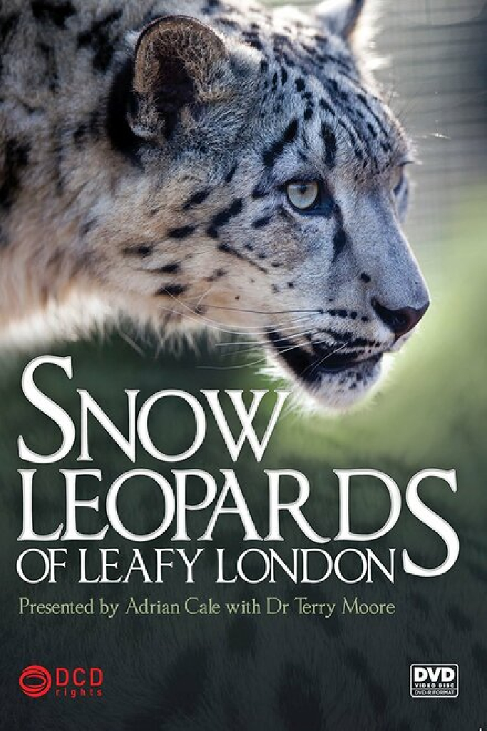 Snow Leopards of Leafy London