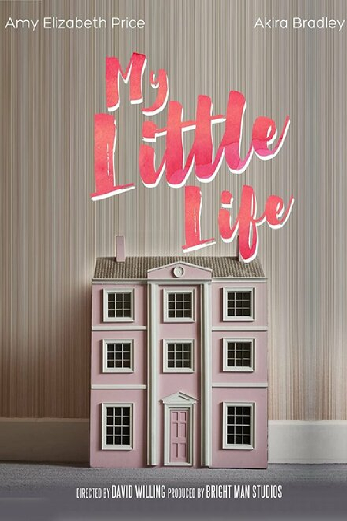 My Little Life