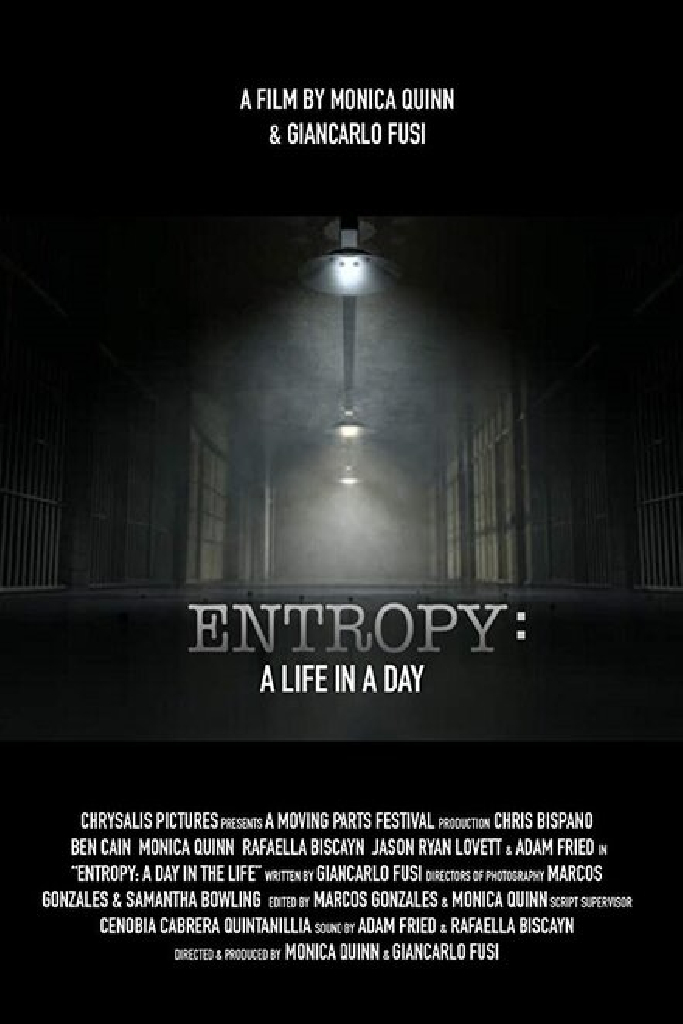 Entropy: A Day in a Life