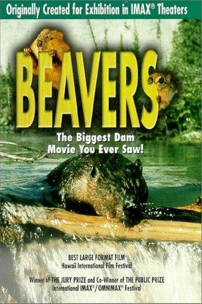 Beavers