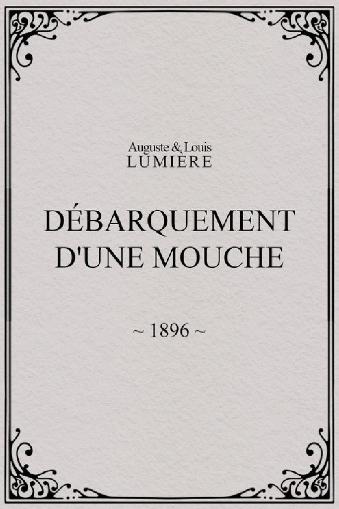 Lyon: Débarquement d'une mouche