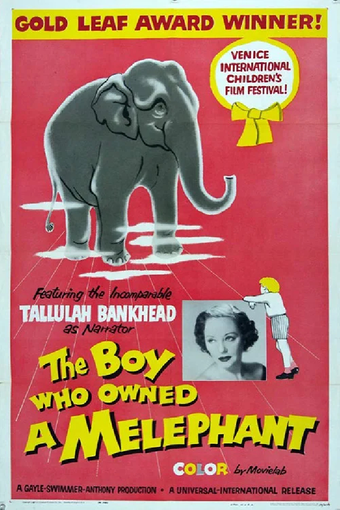 The Boy Who Owned a Melephant