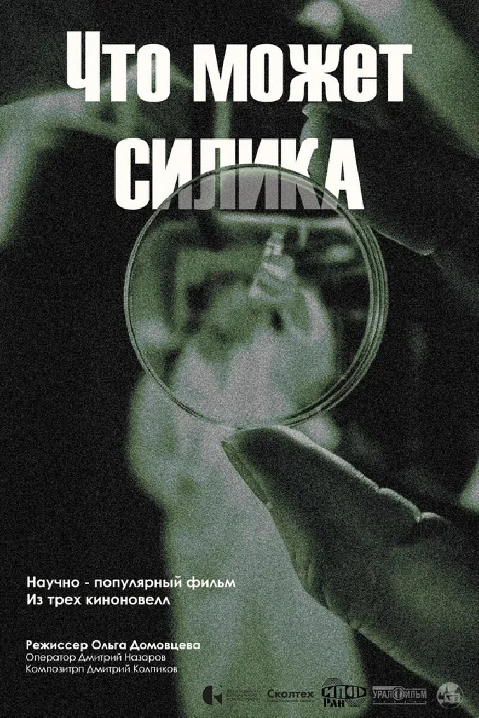 Что может силика