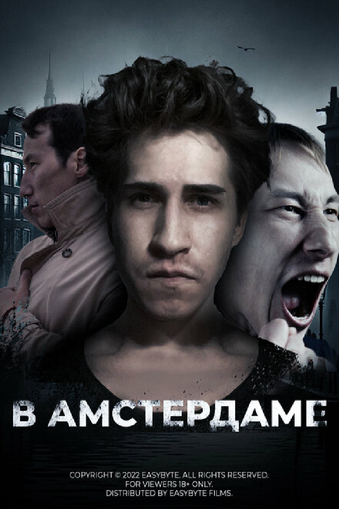 В Амстердаме