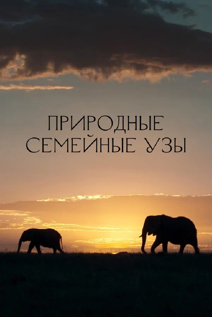 Природные семейные узы