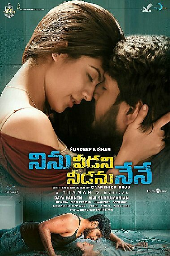 నిను వీడని నీడను నేనే
