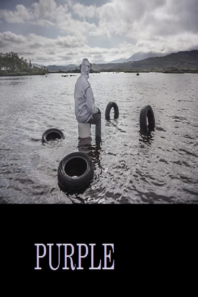 Пурпур