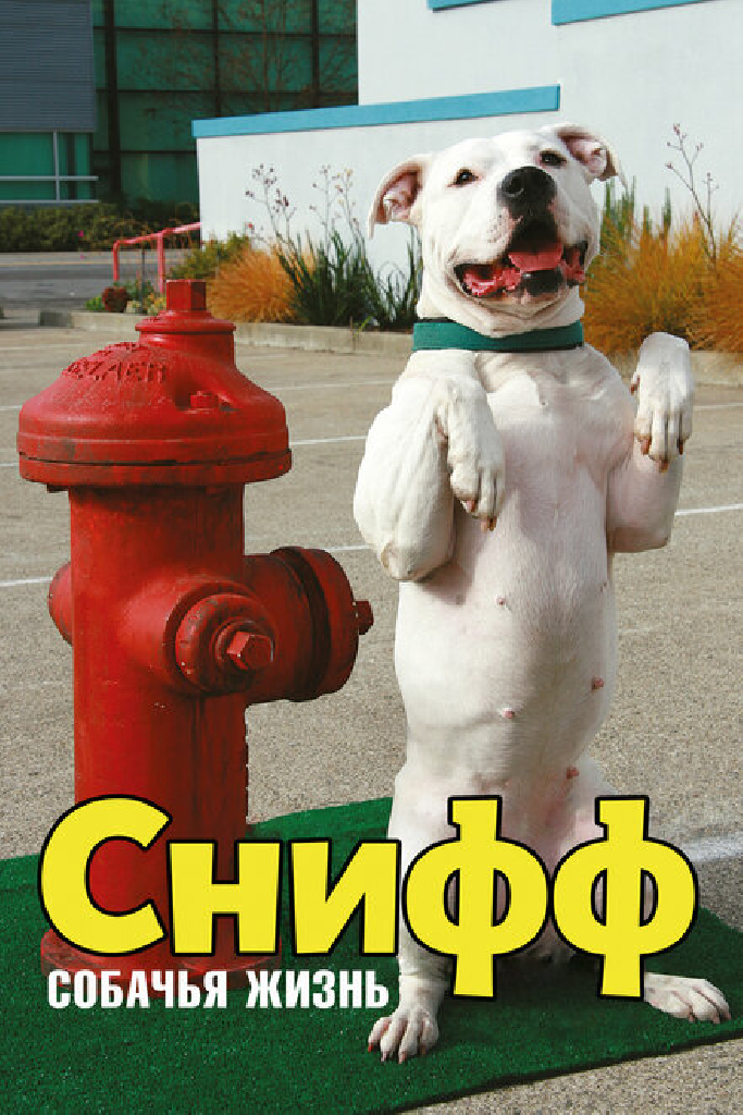 Снифф: Собачья жизнь