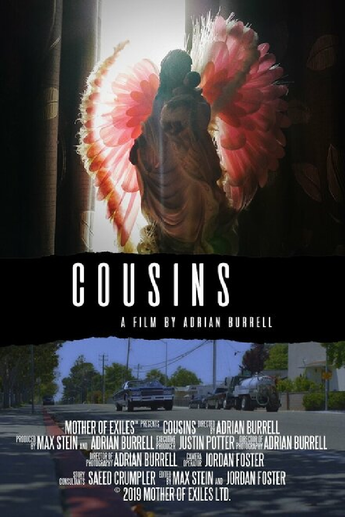 Cousins