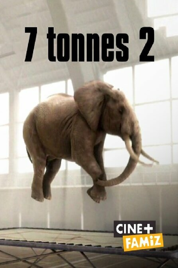 7,2 тонны