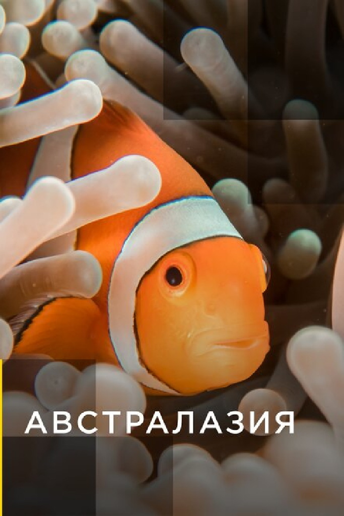Австралазия