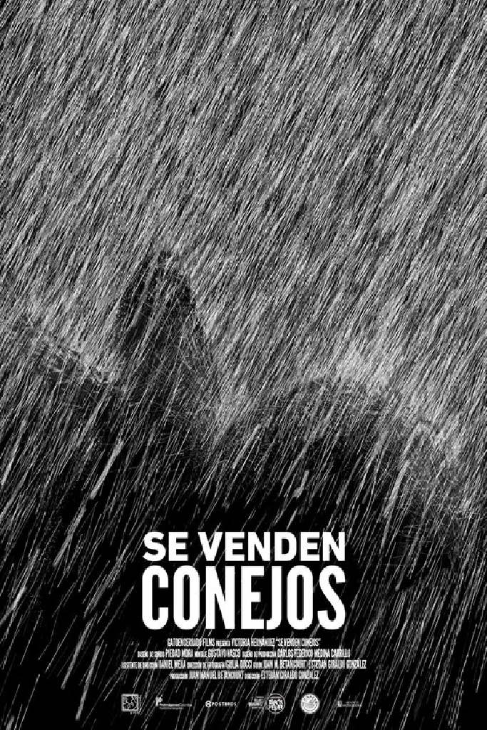 Se venden conejos