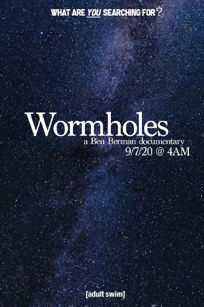 Wormholes