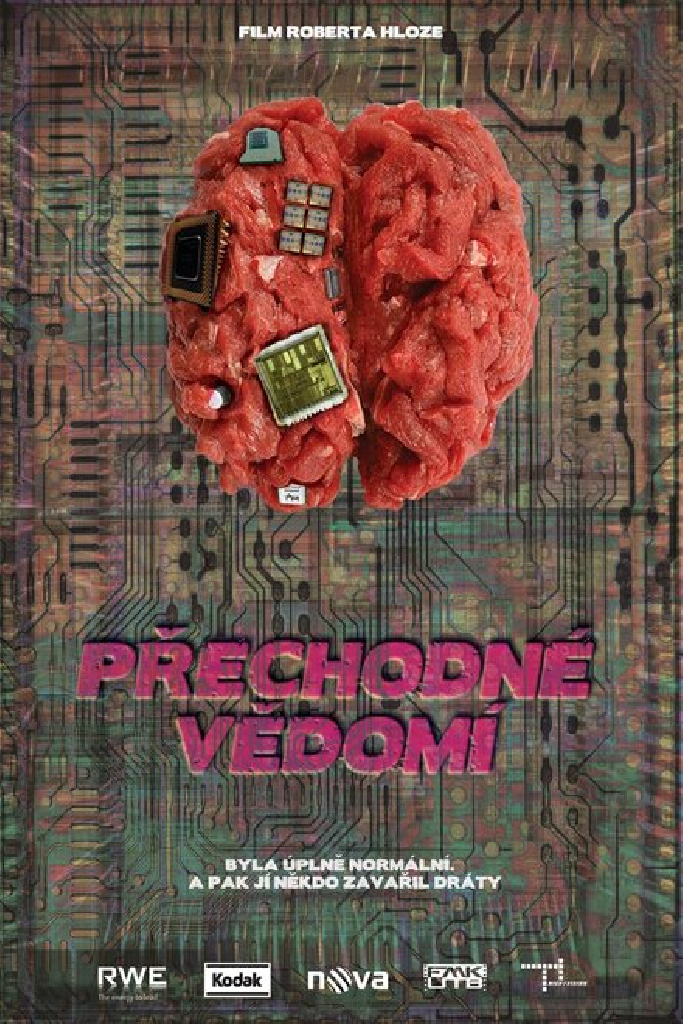 Přechodné vědomí
