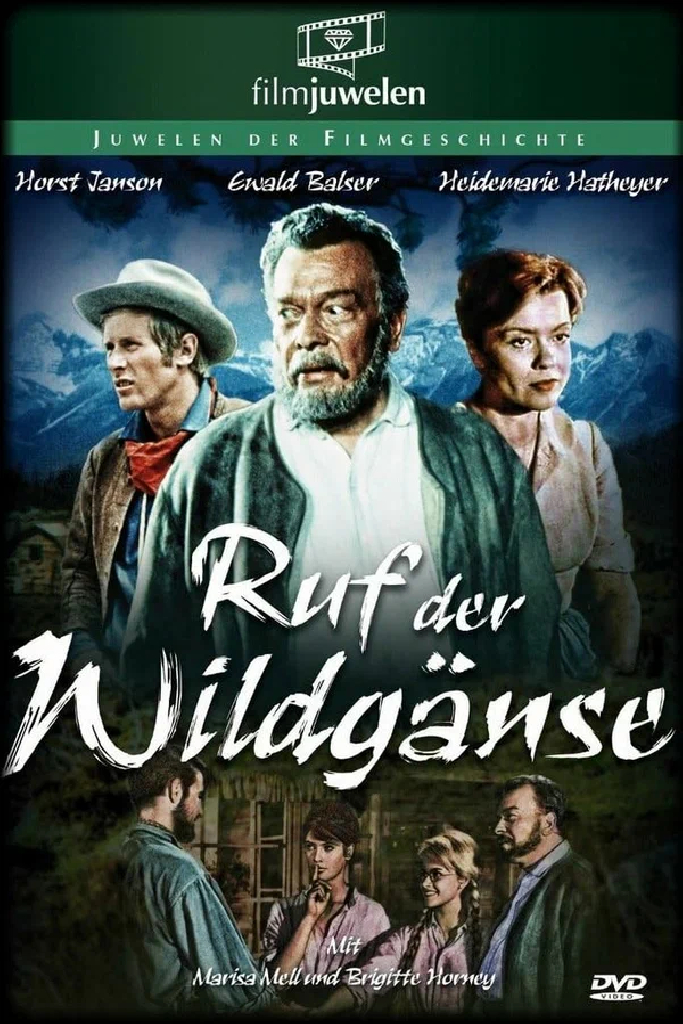 Ruf der Wildgänse