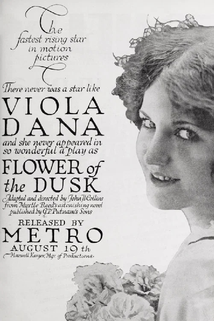 Flower of the Dusk