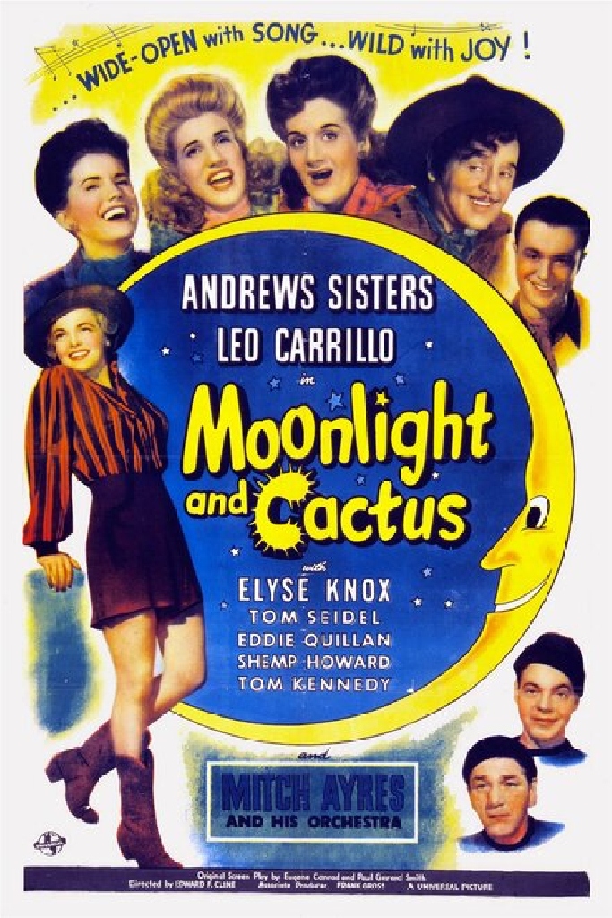 Moonlight and Cactus
