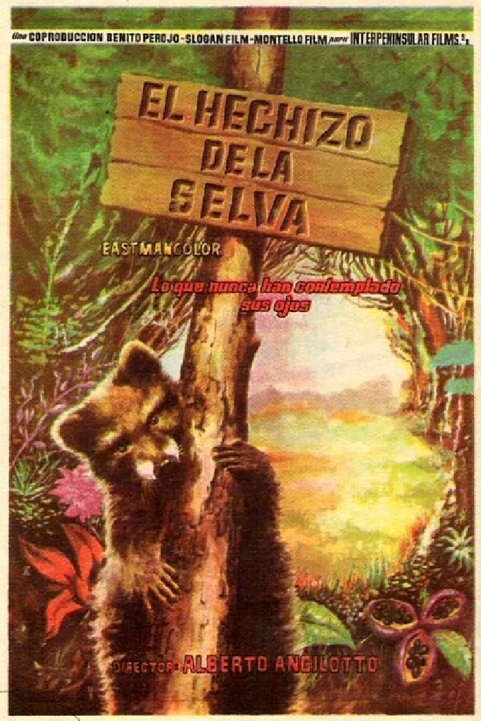 L'incanto della foresta