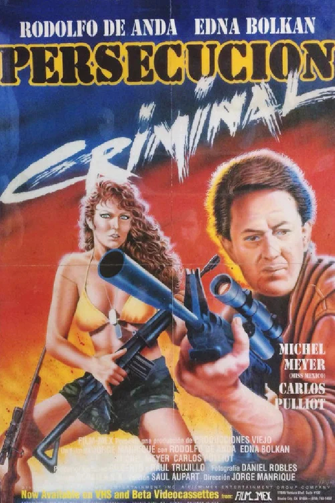 Persecución criminal