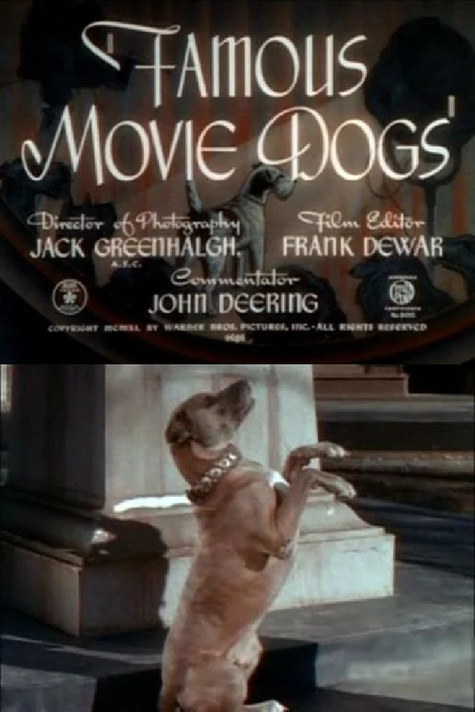 Famous Movie Dogs