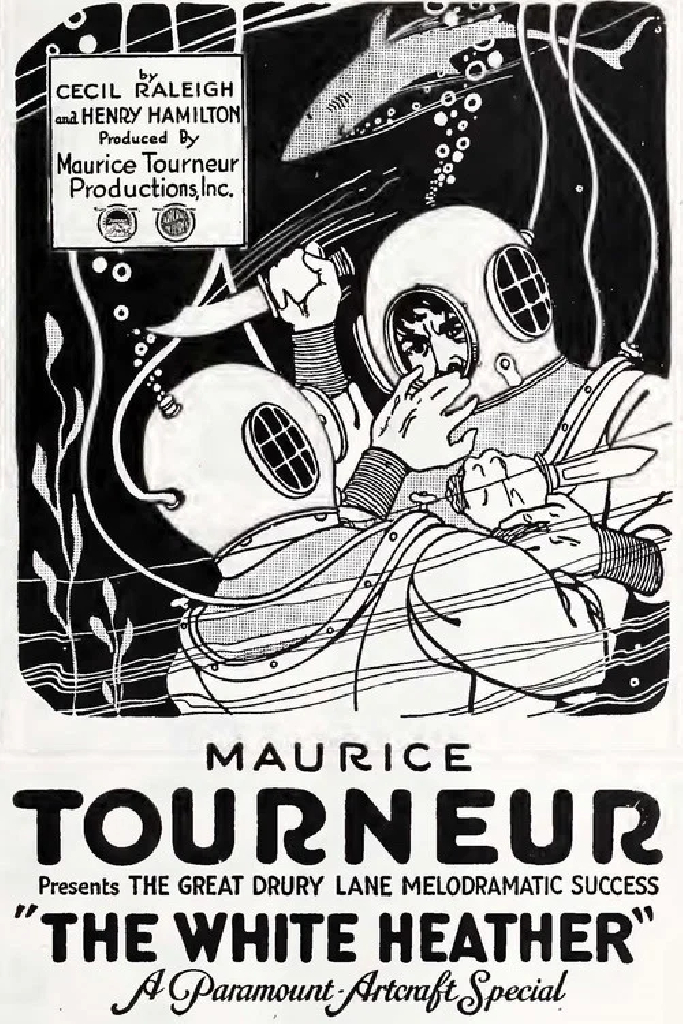 Белый вереск