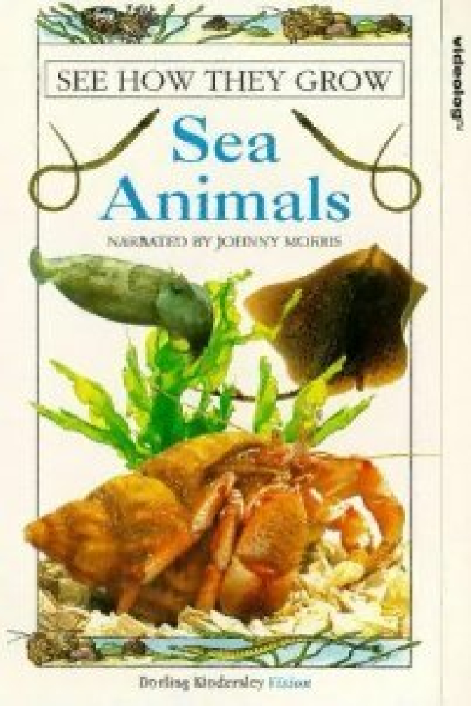 See How They Grow: Sea Animals