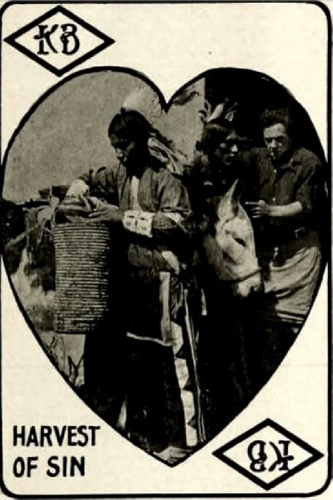 The Harvest of Sin