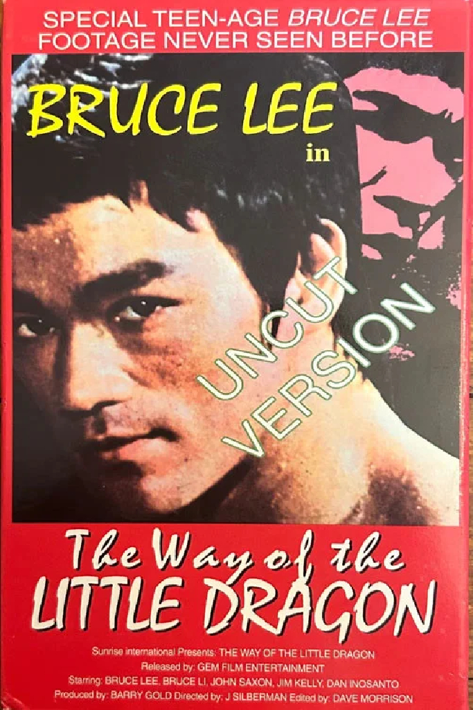 The Way of the Little Dragon