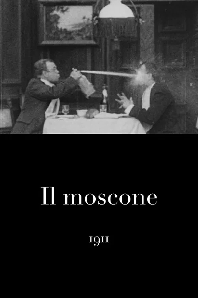 Il moscone