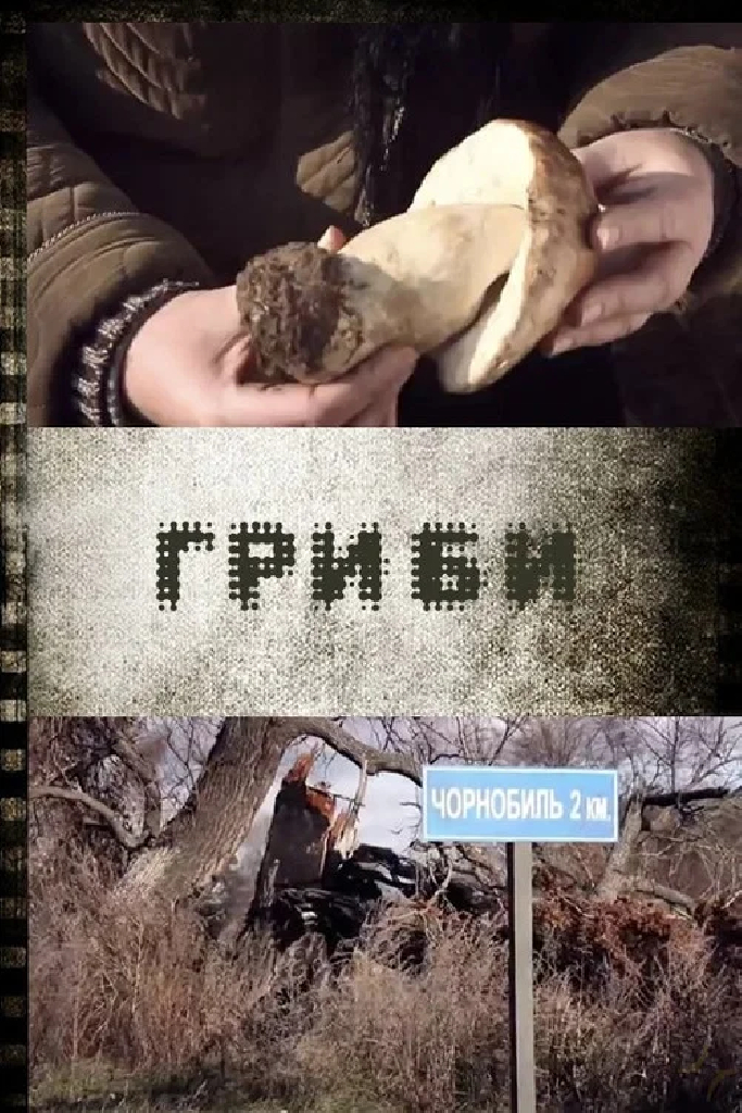 Грибы