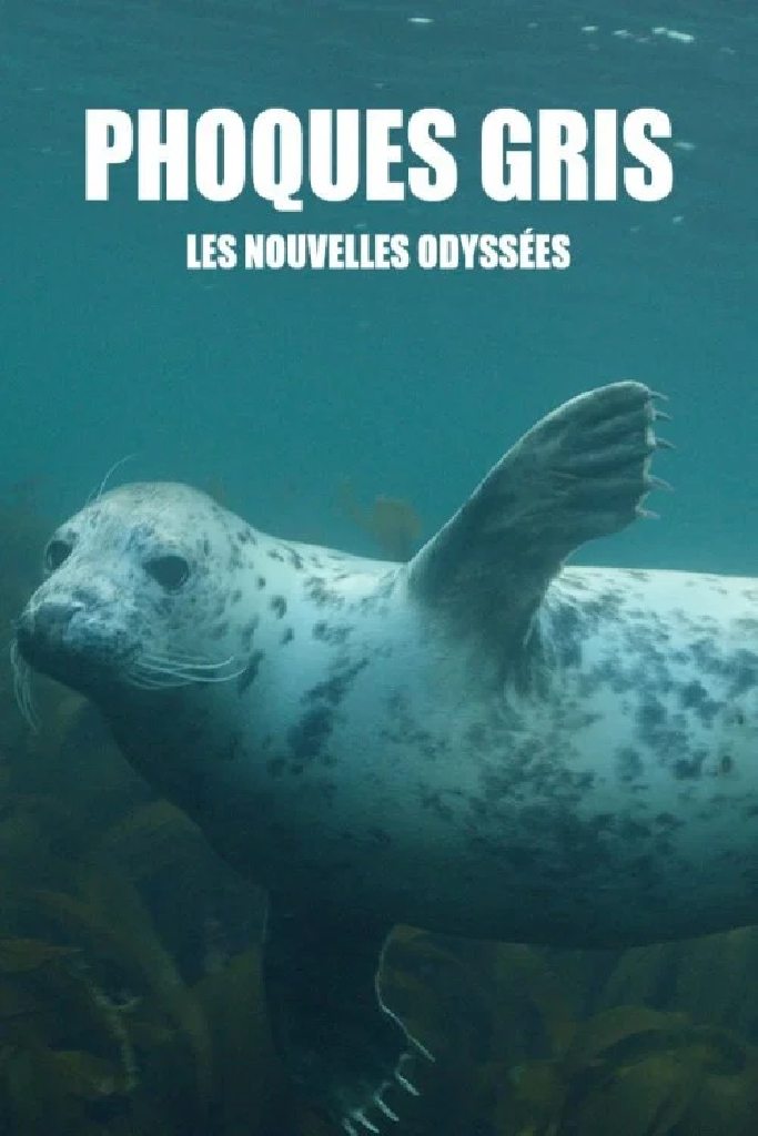 Серые тюлени: Путь к выживанию