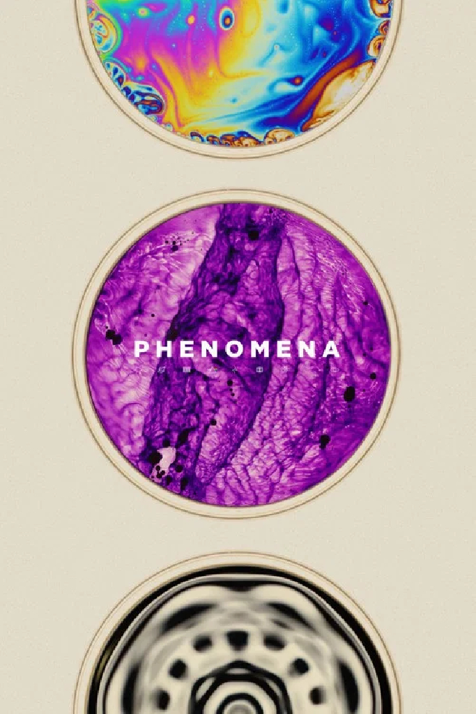 Phenomena