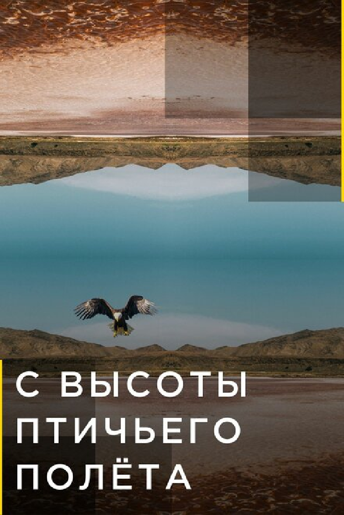 С высоты птичьего полета
