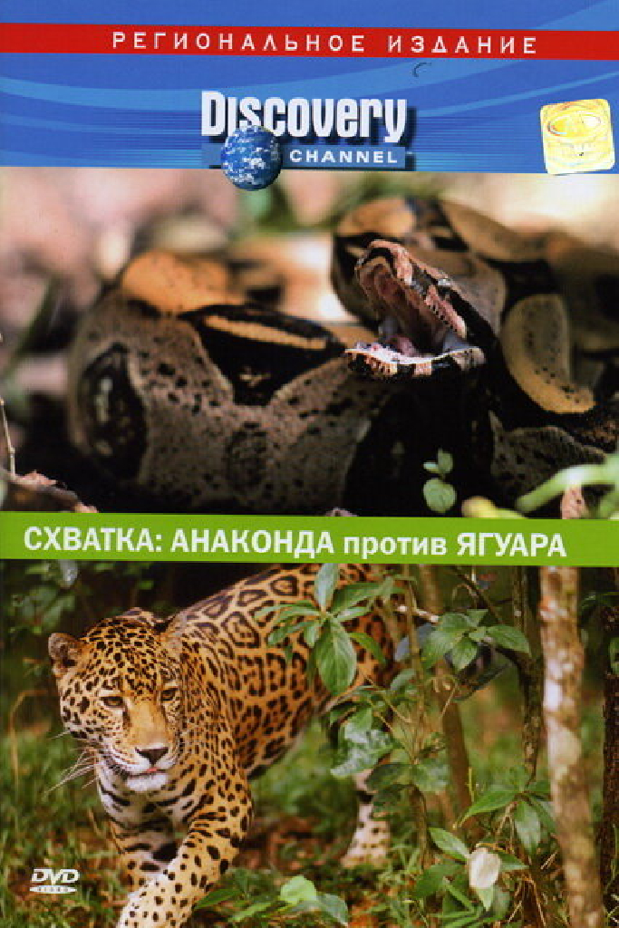 Discovery. Схватка: Анаконда против ягуара