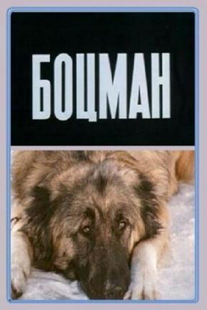 Боцман