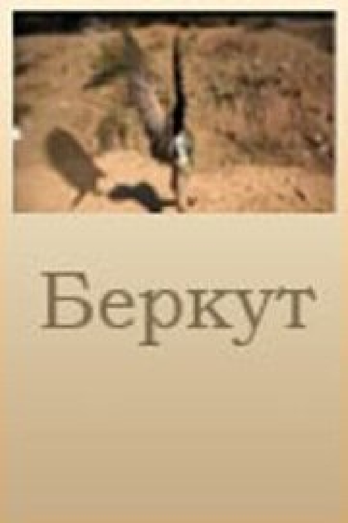 Беркут