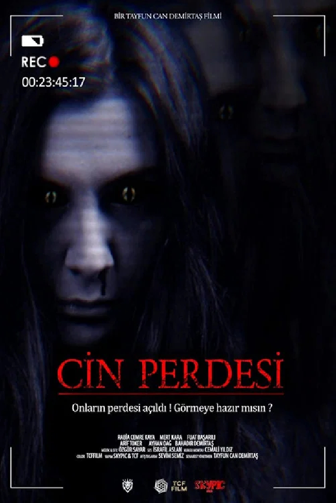 Cin Perdesi