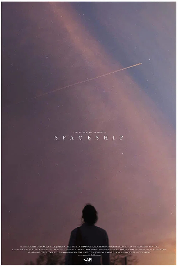 Spaceship