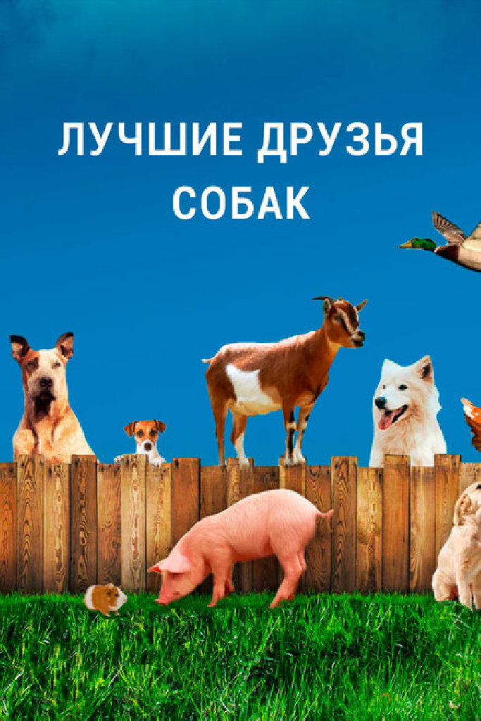 Лучшие друзья собак