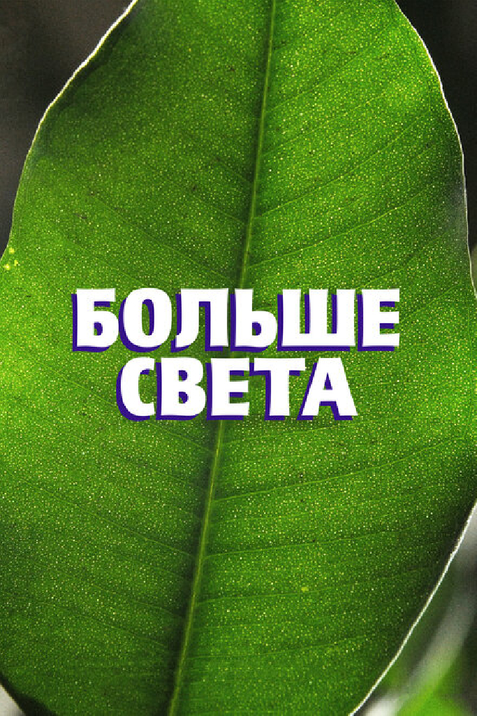 Больше света