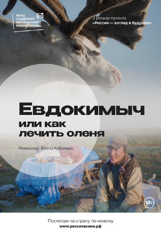 Евдокимыч, или как лечить оленя