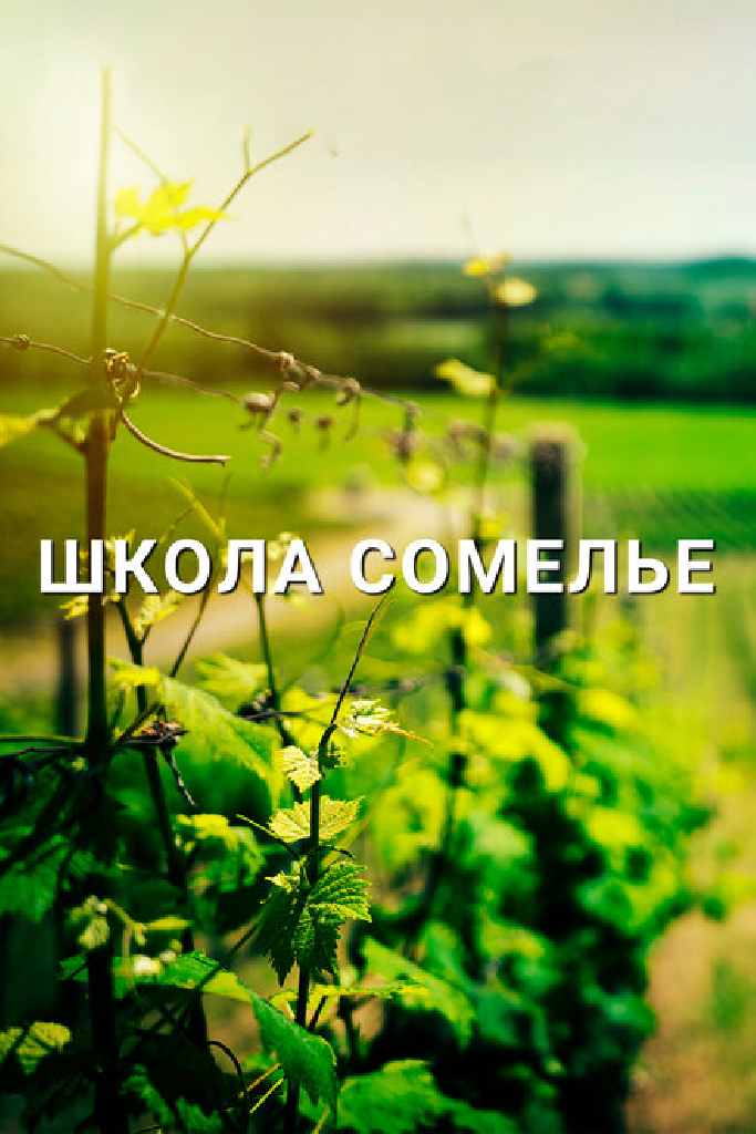 Школа сомелье
