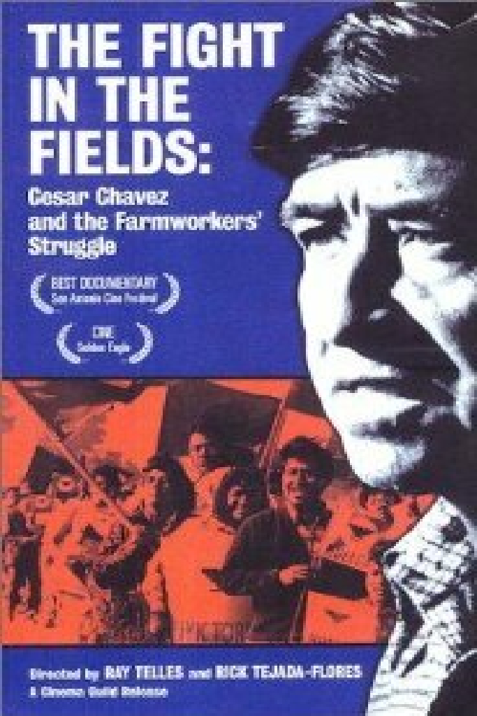 The Fight In The Fields