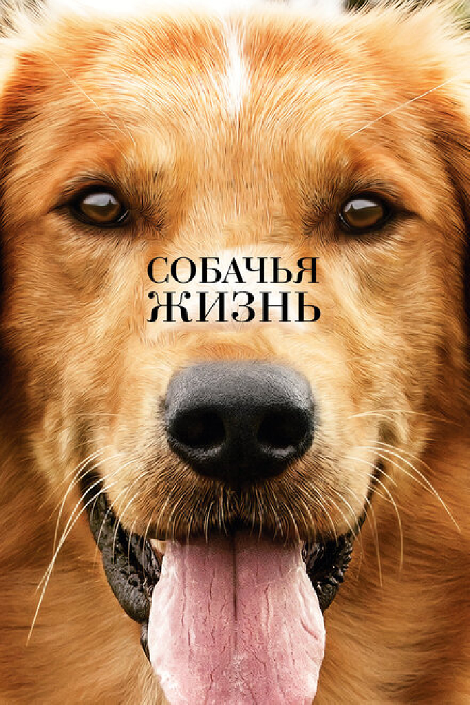 Собачья жизнь