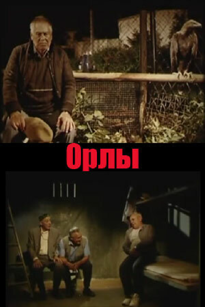 Орлы