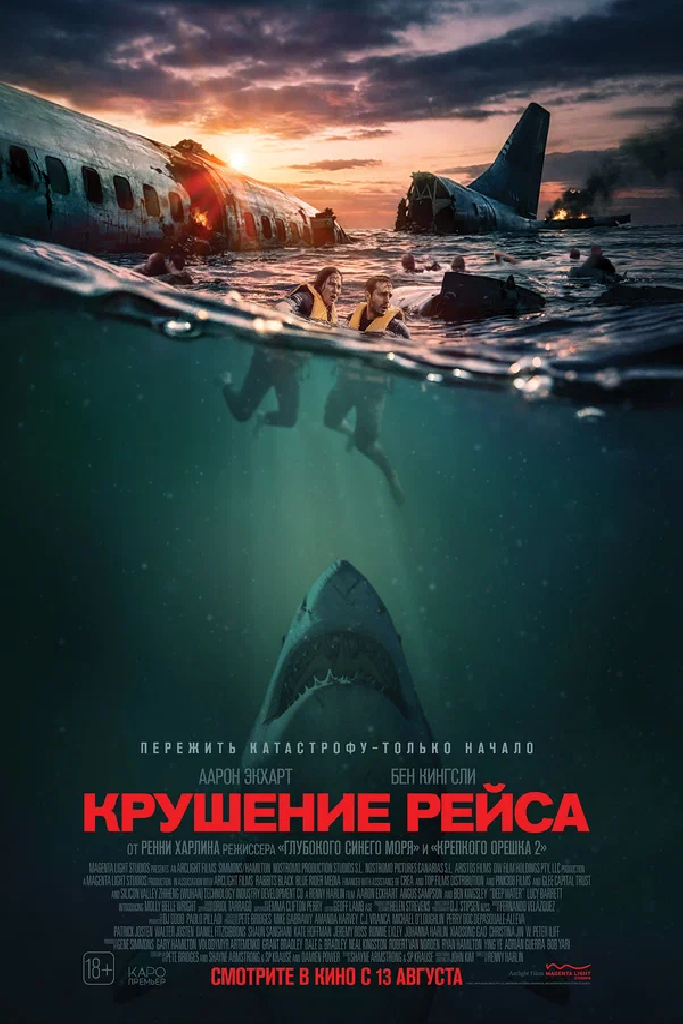 Крушение рейса