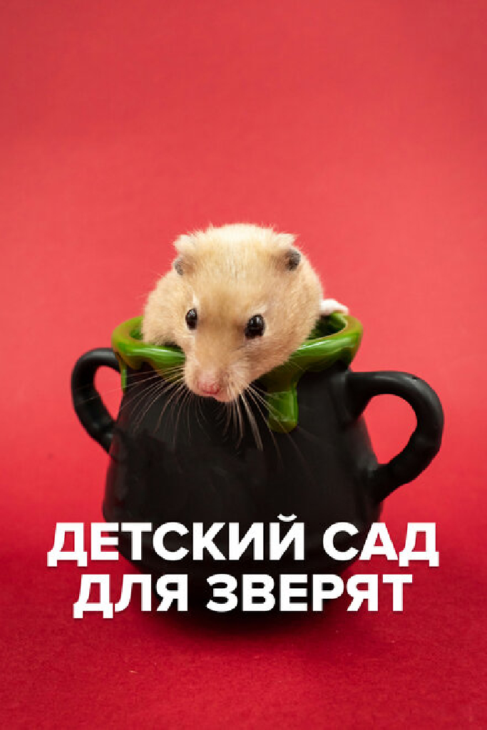 Детский сад для зверят