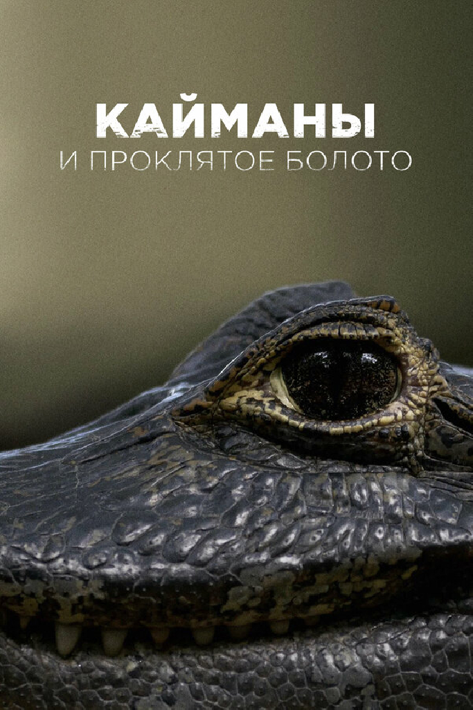 Кайманы и проклятое болото