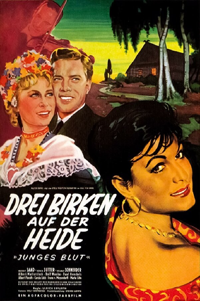 Drei Birken auf der Heide